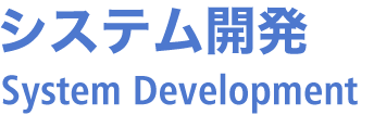 システム開発 System development